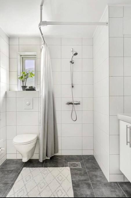 Northern Dreams Apartment With Free Parking Tromsø Esterno foto