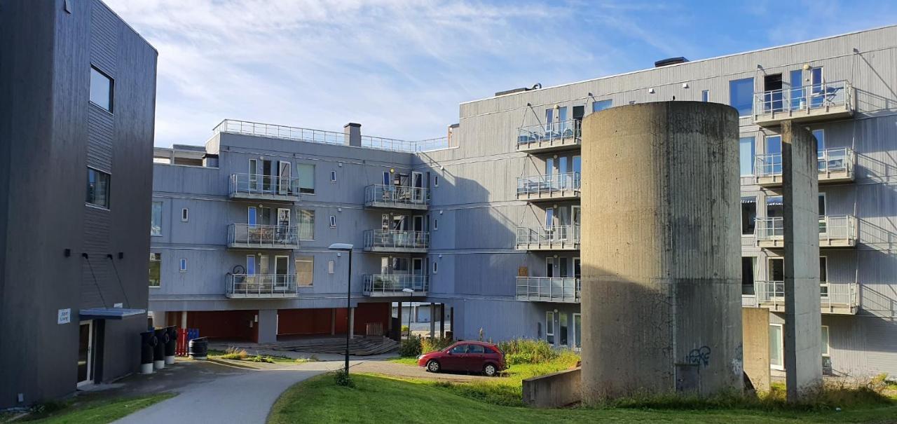 Northern Dreams Apartment With Free Parking Tromsø Esterno foto