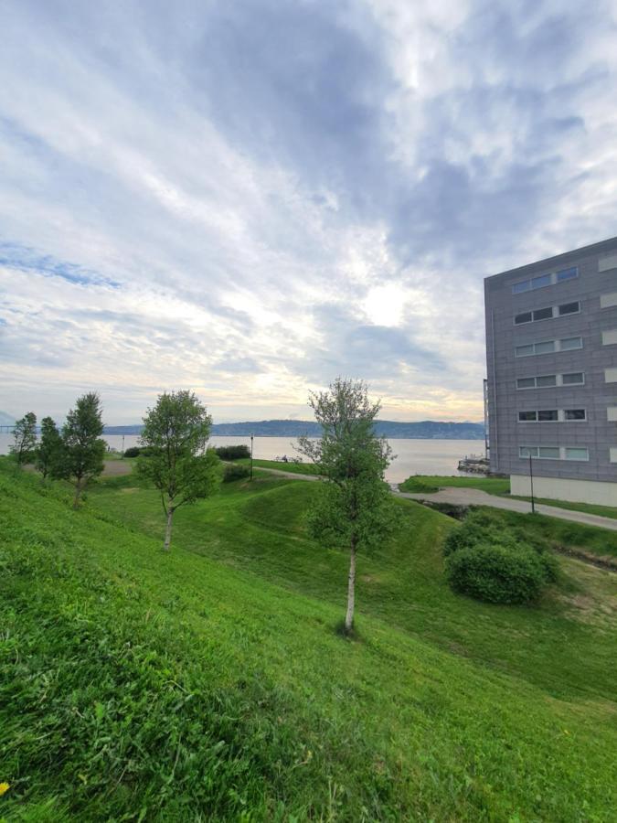 Northern Dreams Apartment With Free Parking Tromsø Esterno foto